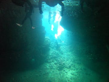 武藤潜水に投稿された画像（2022/3/17）