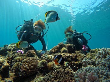 青の洞窟専門店　沖縄ダイビングショップ和に投稿された画像（2022/3/17）