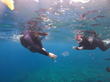 武藤潜水に投稿された画像（2022/3/17）