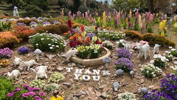 ニューヨークランプミュージアム＆フラワーガーデンに投稿された画像（2022/3/17）