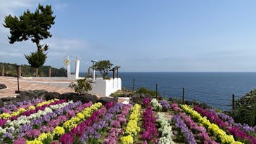 ニューヨークランプミュージアム＆フラワーガーデンに投稿された画像（2022/3/17）