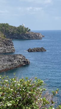 ニューヨークランプミュージアム＆フラワーガーデンに投稿された画像（2022/3/17）