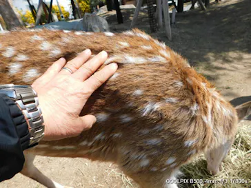 神戸どうぶつ王国に投稿された画像（2022/3/17）