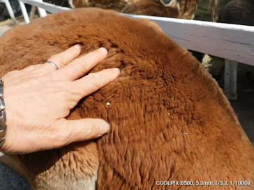 神戸どうぶつ王国に投稿された画像（2022/3/17）