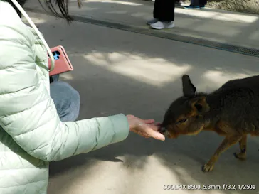 神戸どうぶつ王国に投稿された画像（2022/3/17）