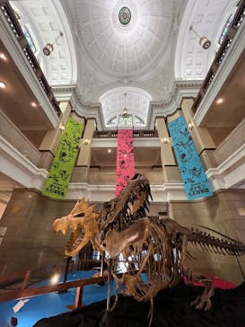 国立科学博物館　特別企画展「ポケモン化石博物館」に投稿された画像（2022/3/17）