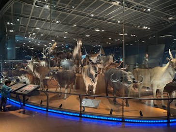 国立科学博物館に投稿された画像（2022/3/17）