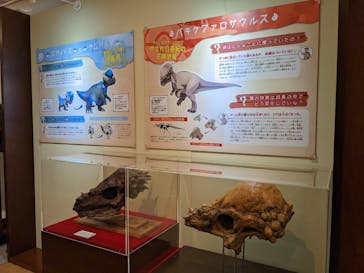 国立科学博物館　特別企画展「ポケモン化石博物館」に投稿された画像（2022/3/17）