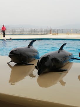 マリンワールド海の中道に投稿された画像（2022/3/17）