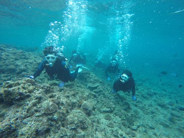 DIVING-SHOP SUNSに投稿された画像（2022/3/17）