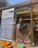 OISO（オオイソ）乗馬クラブに投稿された画像（2022/3/17）