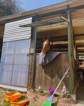 OISO（オオイソ）乗馬クラブに投稿された画像（2022/3/17）