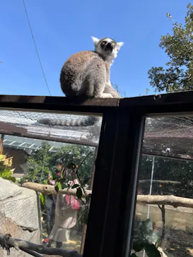 神戸どうぶつ王国に投稿された画像（2022/3/17）