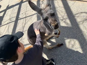 神戸どうぶつ王国に投稿された画像（2022/3/17）