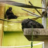 沖縄こどもの国に投稿された画像（2022/3/17）