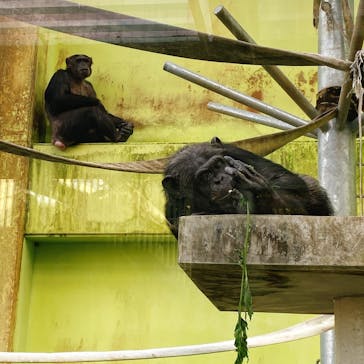 沖縄こどもの国に投稿された画像（2022/3/17）