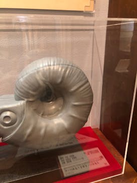 国立科学博物館　特別企画展「ポケモン化石博物館」に投稿された画像（2022/3/17）