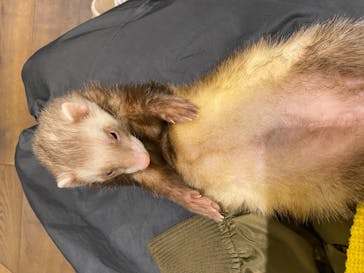 HARRY　横浜中華街店に投稿された画像（2022/3/17）