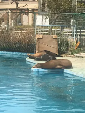 天王寺動物園に投稿された画像（2022/3/17）