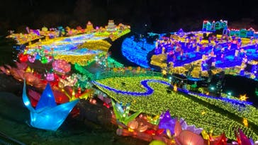 伊豆ぐらんぱる公園に投稿された画像（2022/3/17）