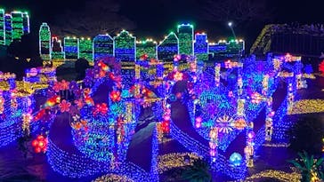 伊豆ぐらんぱる公園に投稿された画像（2022/3/17）