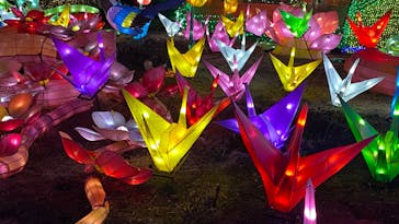 伊豆ぐらんぱる公園に投稿された画像（2022/3/17）