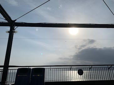 新江ノ島水族館に投稿された画像（2022/3/17）