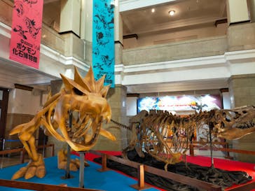 国立科学博物館に投稿された画像（2022/3/17）