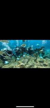 青の洞窟専門店　沖縄ダイビングショップ和に投稿された画像（2022/3/17）