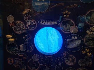 国立科学博物館に投稿された画像（2022/3/17）