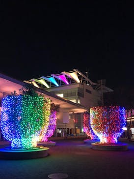 東京メガイルミに投稿された画像（2022/3/17）