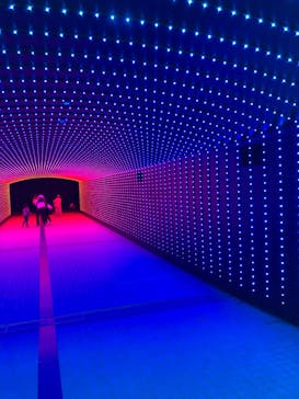 東京メガイルミに投稿された画像（2022/3/17）