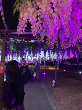 東京メガイルミに投稿された画像（2022/3/17）