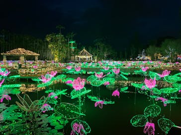美らヤシパークオキナワ・東南植物楽園に投稿された画像（2022/3/17）