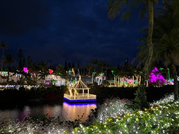 美らヤシパークオキナワ・東南植物楽園に投稿された画像（2022/3/17）