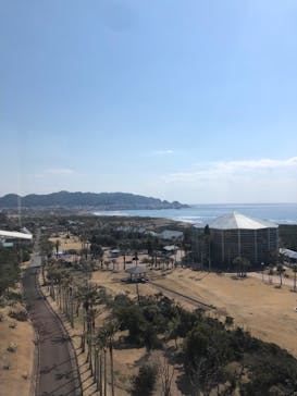 アロハガーデンたてやまに投稿された画像（2022/3/17）