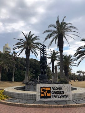 アロハガーデンたてやまに投稿された画像（2022/3/17）