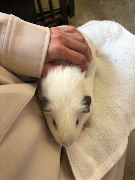 アロハガーデンたてやまに投稿された画像（2022/3/17）