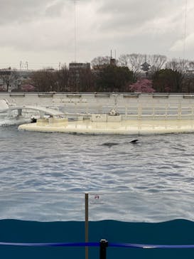 京都水族館に投稿された画像（2022/3/18）