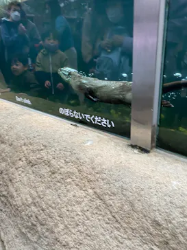 神戸どうぶつ王国に投稿された画像（2022/3/18）