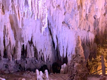 おきなわワールドに投稿された画像（2022/3/18）