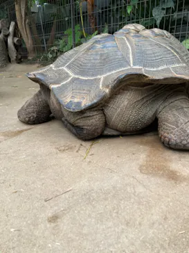 神戸どうぶつ王国に投稿された画像（2022/3/18）