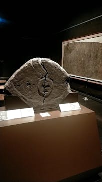 九州国立博物館に投稿された画像（2022/3/18）