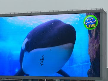 名古屋港水族館に投稿された画像（2022/3/18）