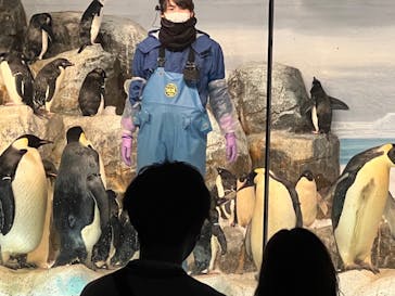 名古屋港水族館に投稿された画像（2022/3/18）