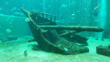 箱根園水族館に投稿された画像（2022/3/18）