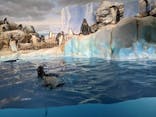 名古屋港水族館に投稿された画像（2022/3/18）