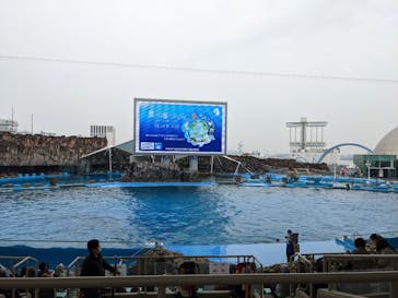 名古屋港水族館に投稿された画像（2022/3/18）