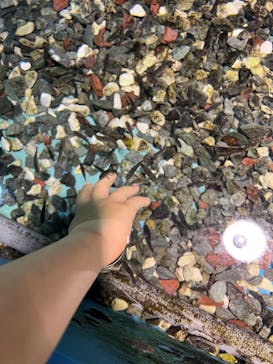 ゼロ距離水族館 伊勢シーパラダイスに投稿された画像（2022/3/18）