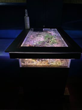 ゼロ距離水族館 伊勢シーパラダイスに投稿された画像（2022/3/18）